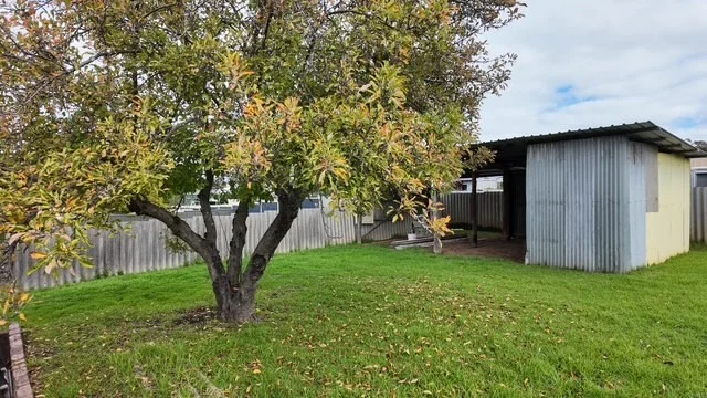 Image 15