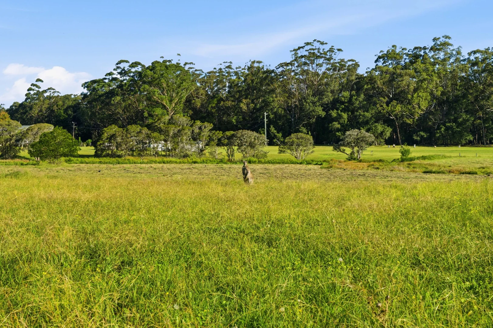 Additional image 23 of 122 Bollerang Road, Wandandian NSW 2540