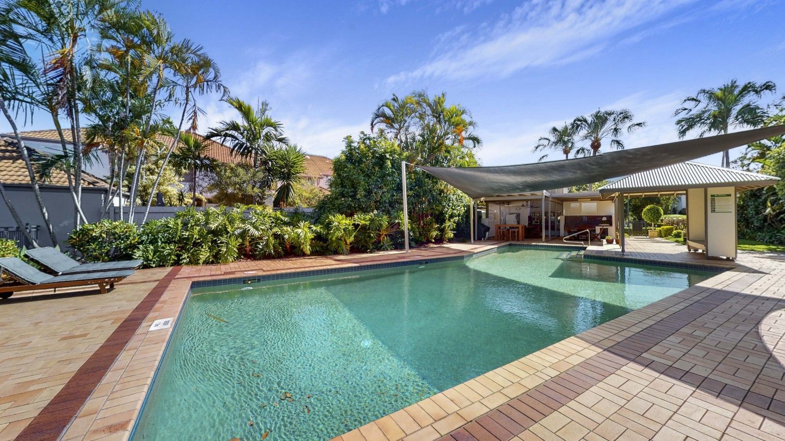 11/101 Coutts Street, Bulimba QLD 4171