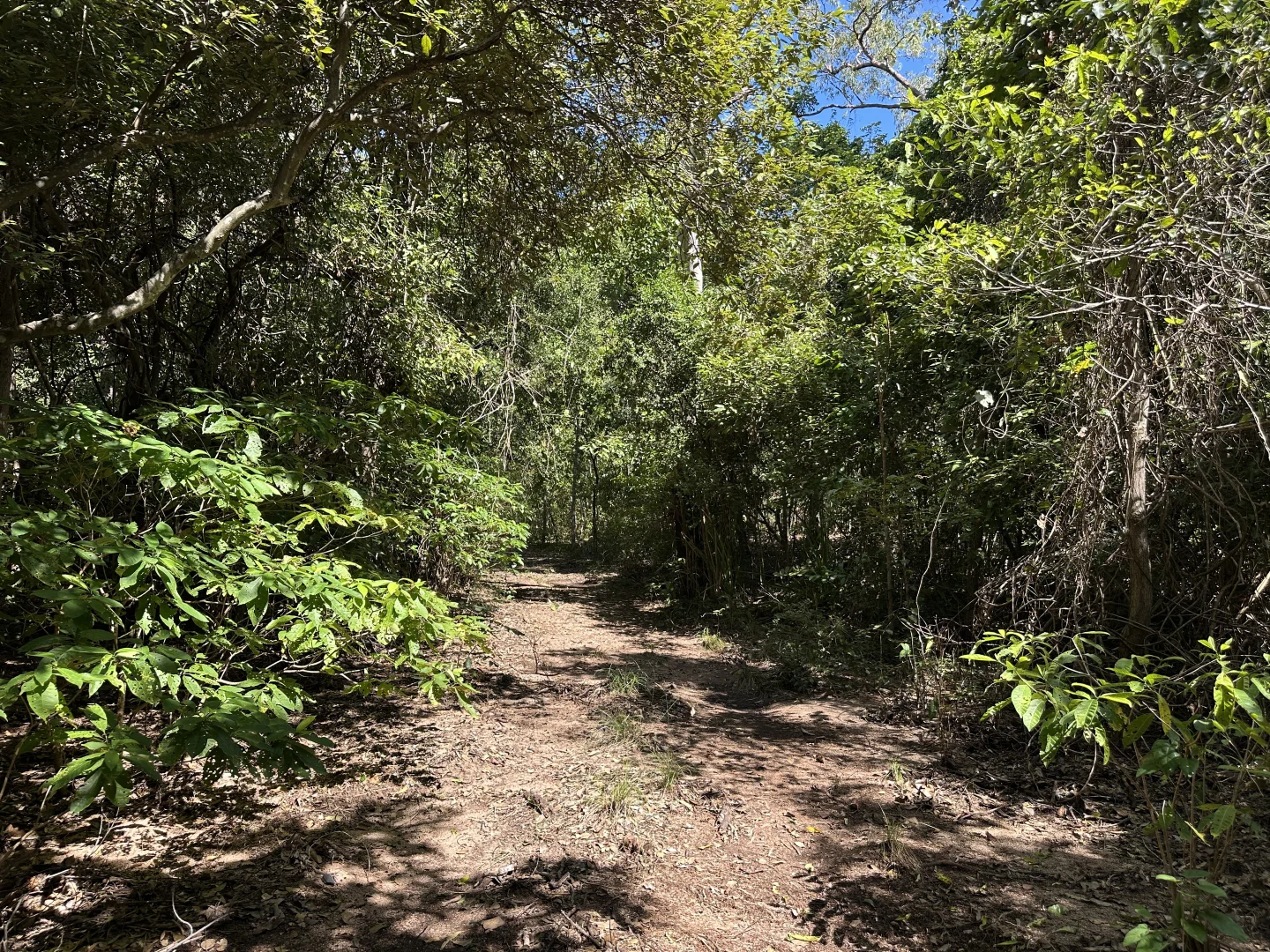 Image 6