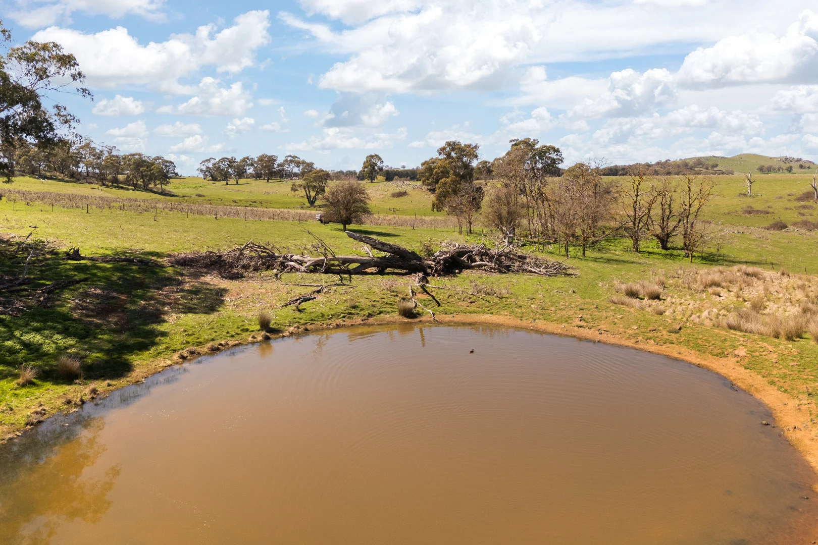 Additional image 20 of Millthorpe NSW 2798