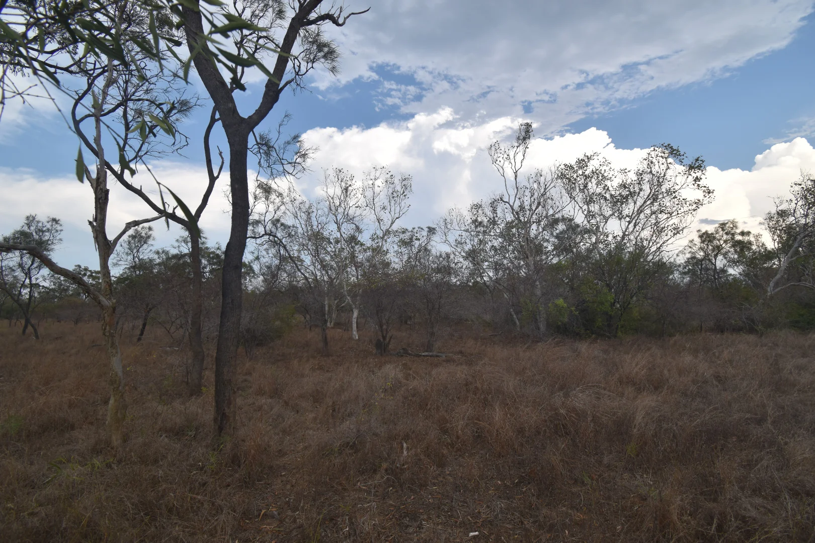 Additional image 9 of 8 Coventry Road, Guthalungra QLD 4805