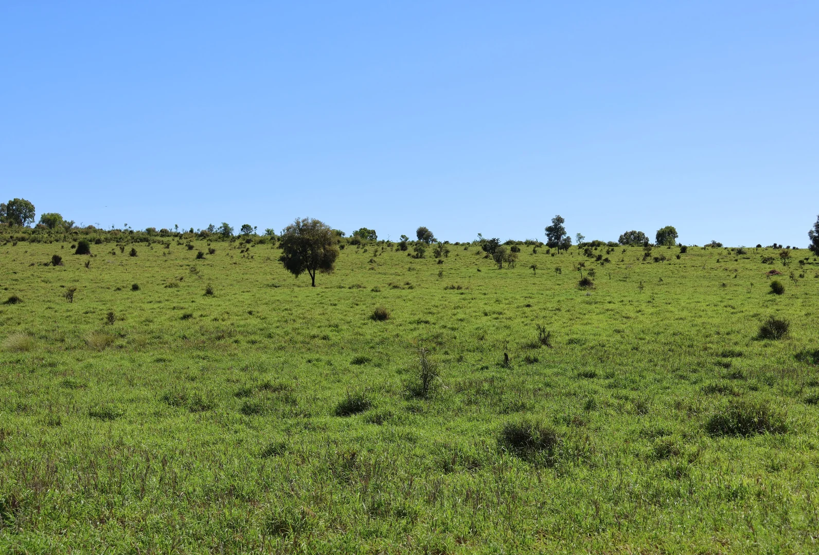 Additional image 7 of 3752 Mitchell Forest Vale Road, Mitchell QLD 4465