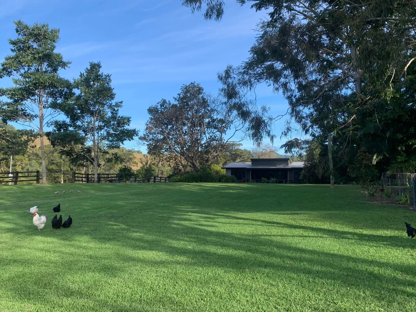 Image 10