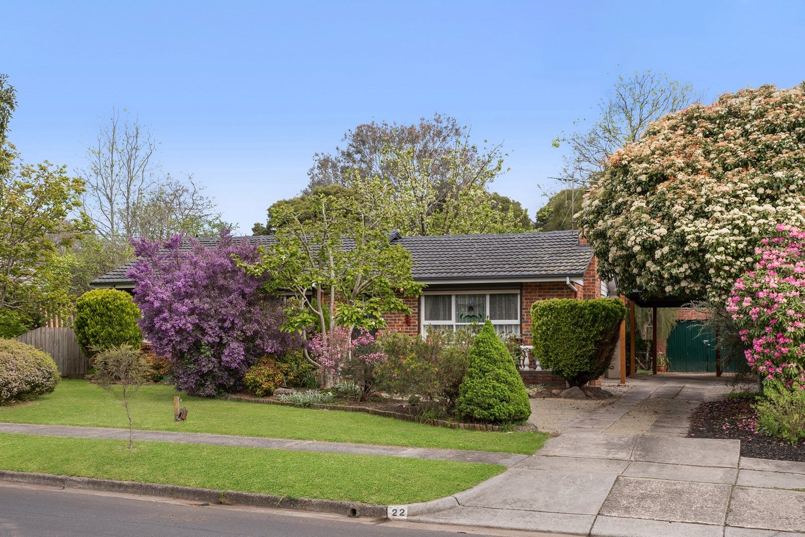 22 Paterson Street, Croydon North VIC 3136, Image 0