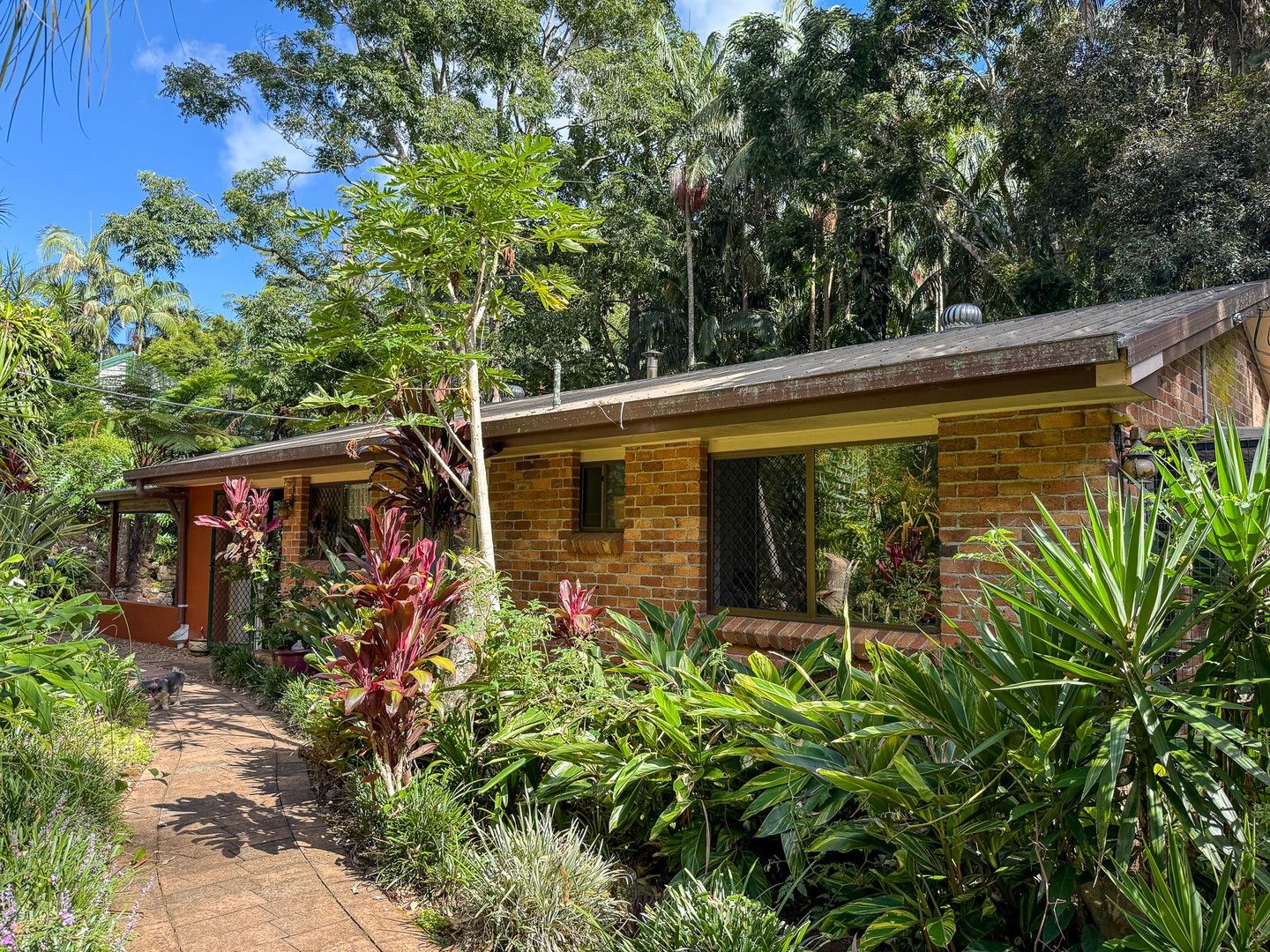 2 bedrooms House in 14 Forsythia Drive TAMBORINE MOUNTAIN QLD, 4272