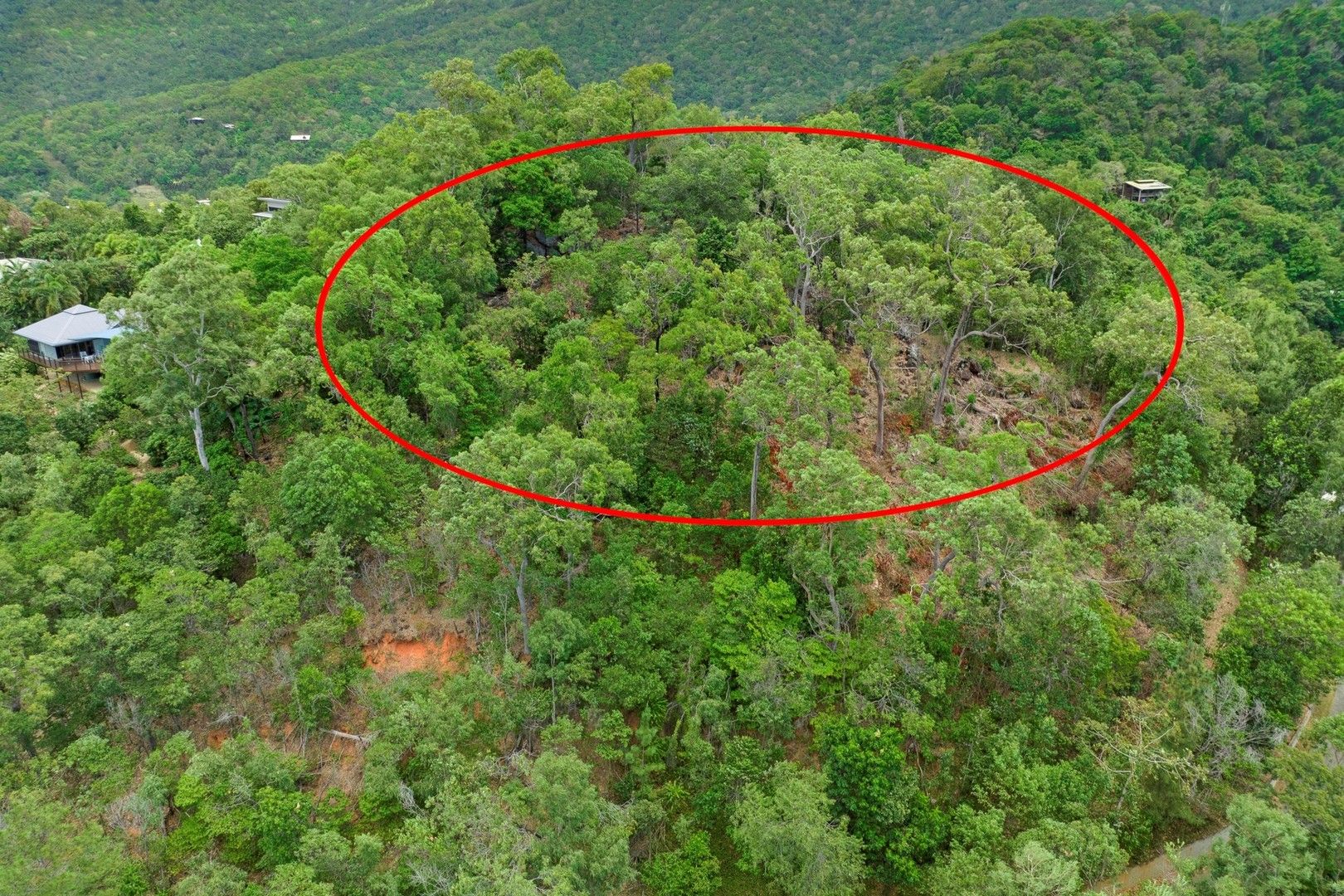 1 Jarda Street, Smithfield QLD 4878 Domain