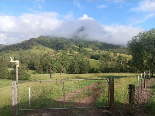 127 Tobins River Road, Mount Seaview NSW 2446