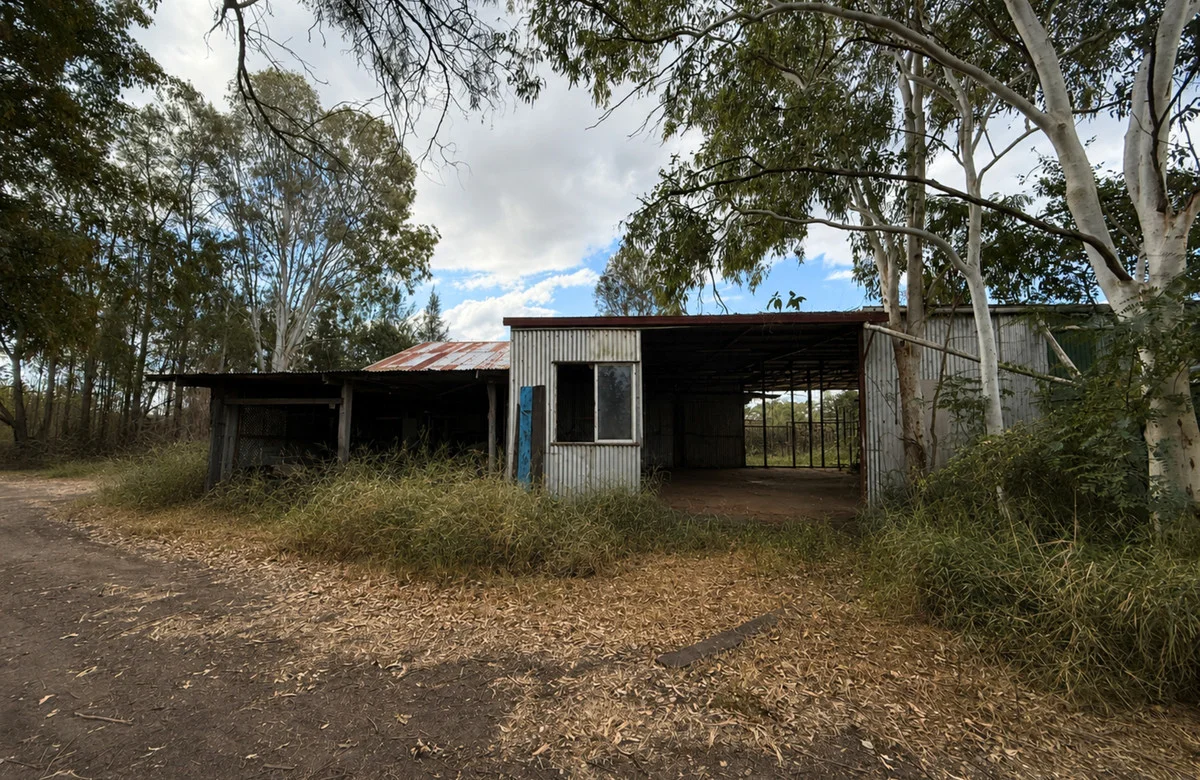 Image 7