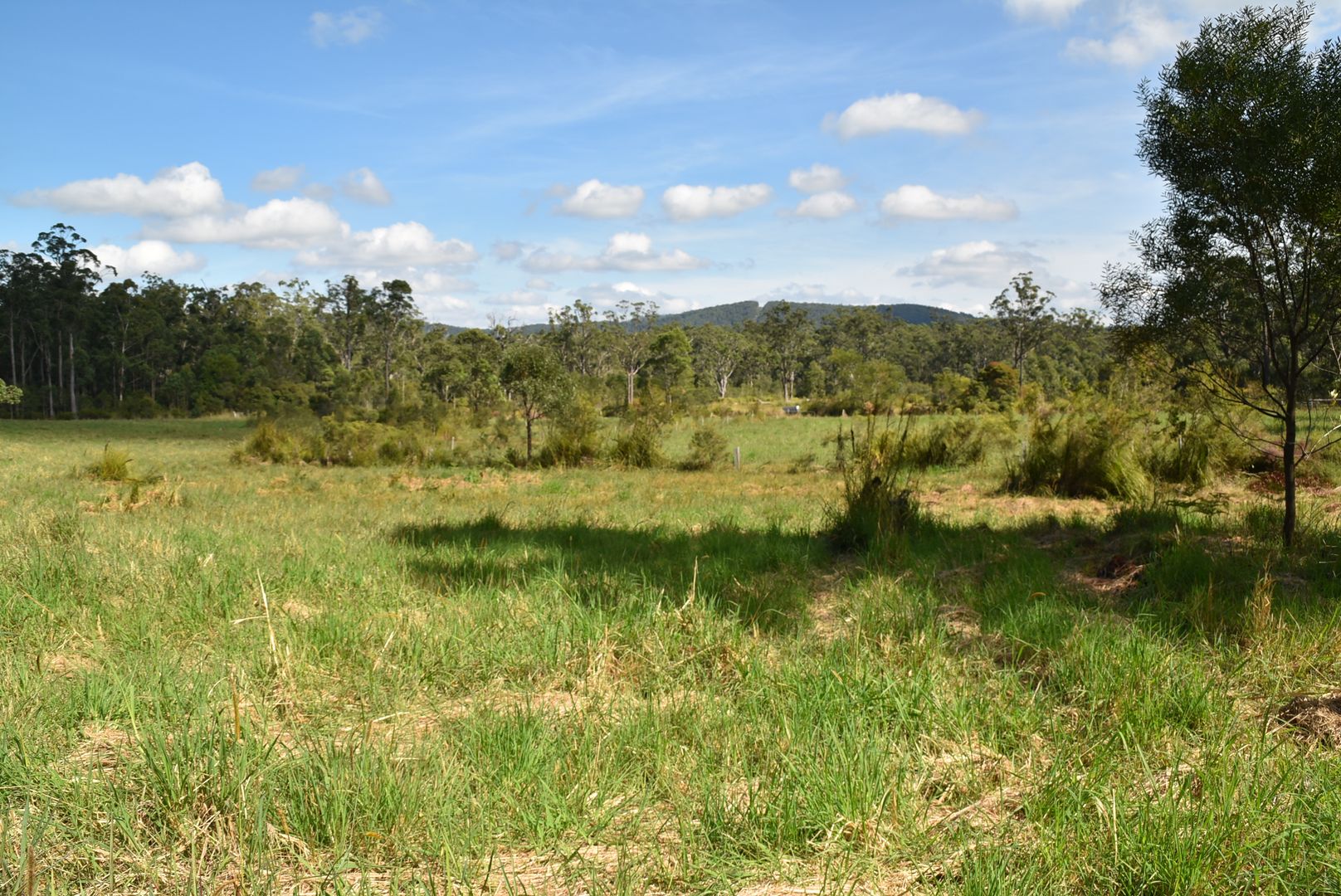 Boolambayte NSW 2423, Image 2