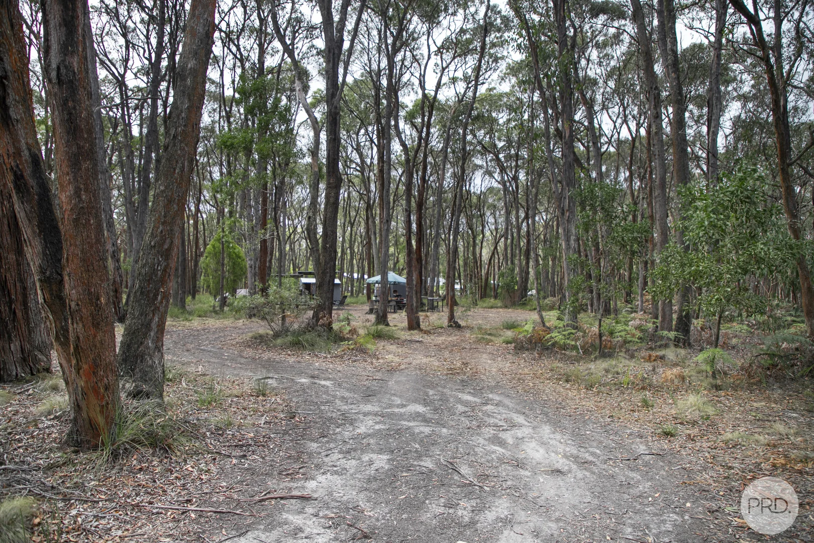 Image 9