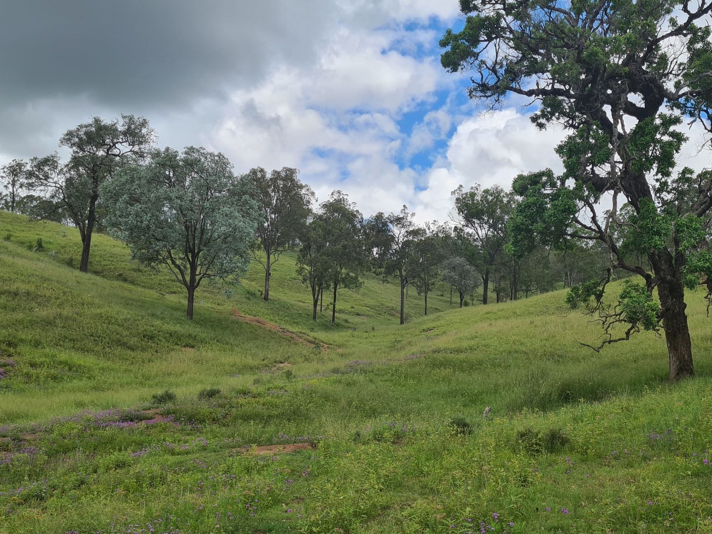 L164 Voll Road, Emu Creek QLD 4355, Image 1