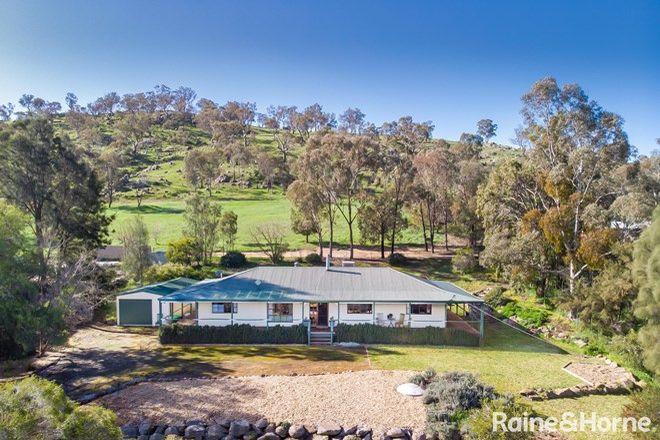 Picture of 8 Wagga Wagga Street, OURA NSW 2650