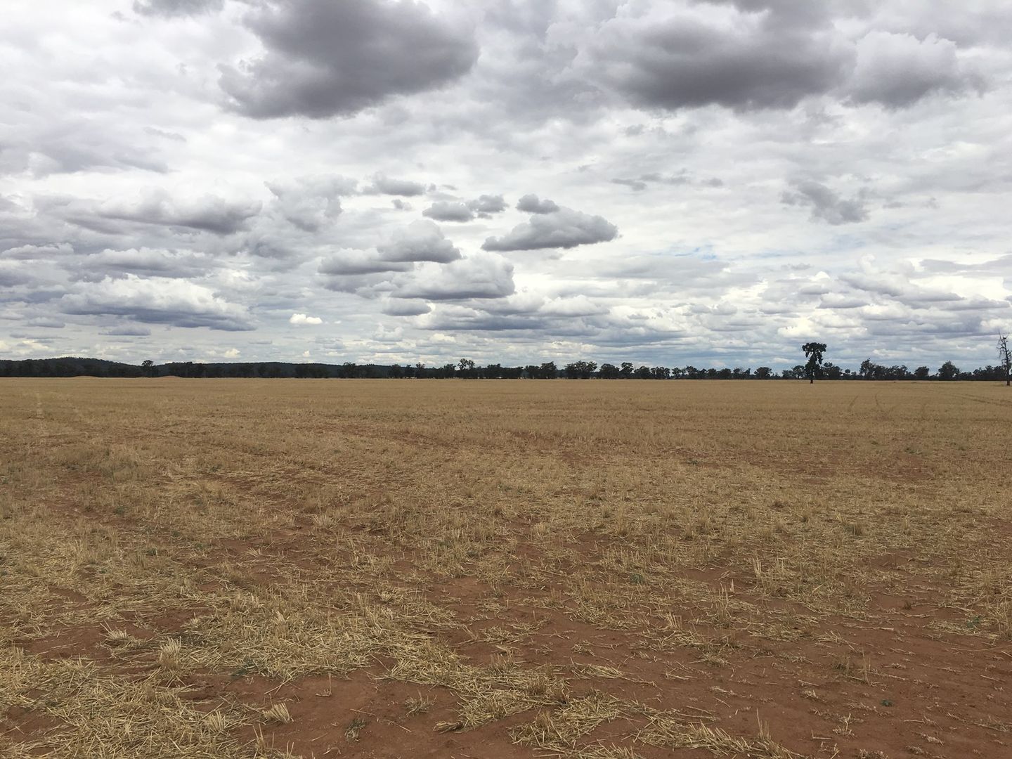 'Eastleigh' andamp; 'Carnarvon', Wyalong NSW 2671, Image 2