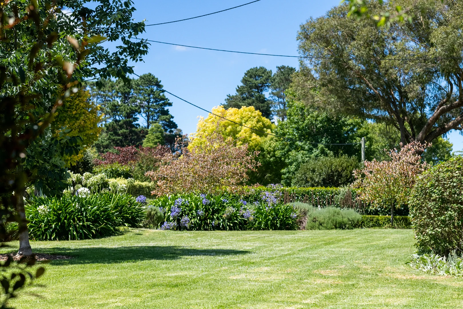 Image 27