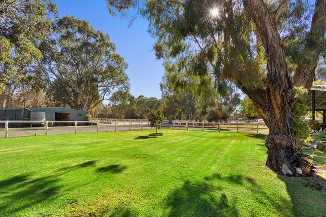 Picture of 102 Trigwell Road, BOYANUP WA 6237