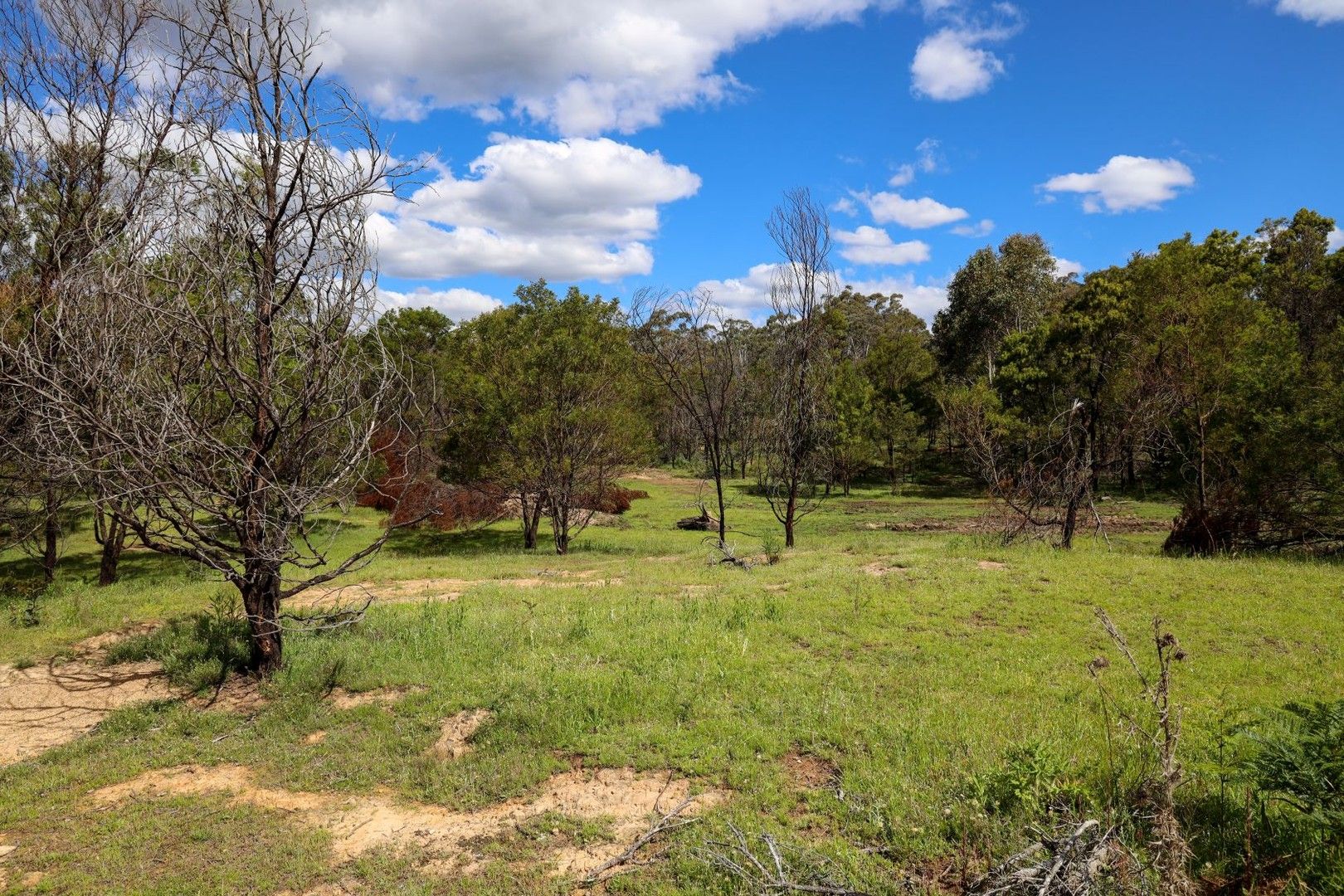 35 Mckanes Lane, Windellama NSW 2580, Image 0