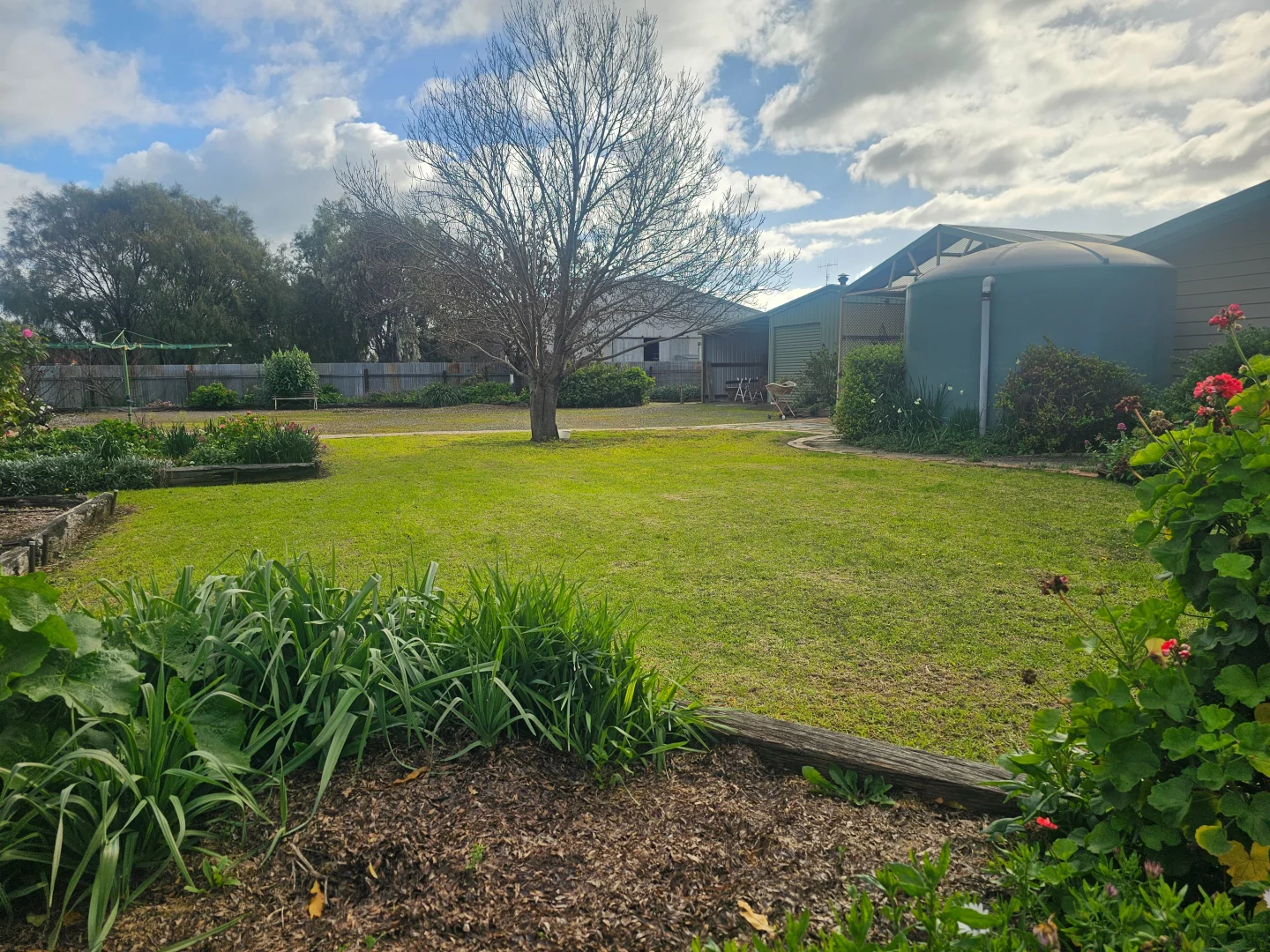 Image 15
