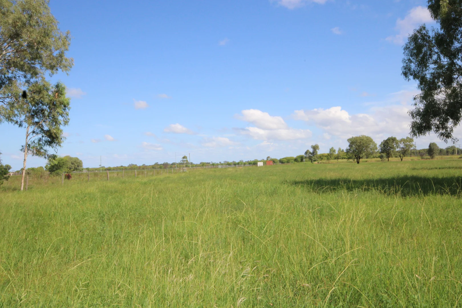 Image 32