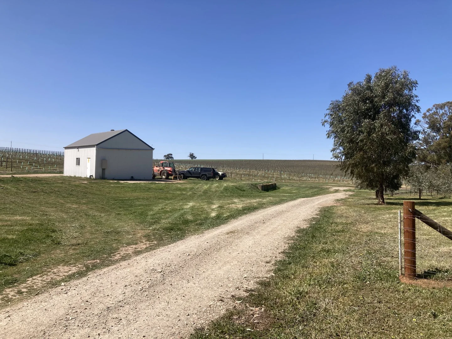 Image 12