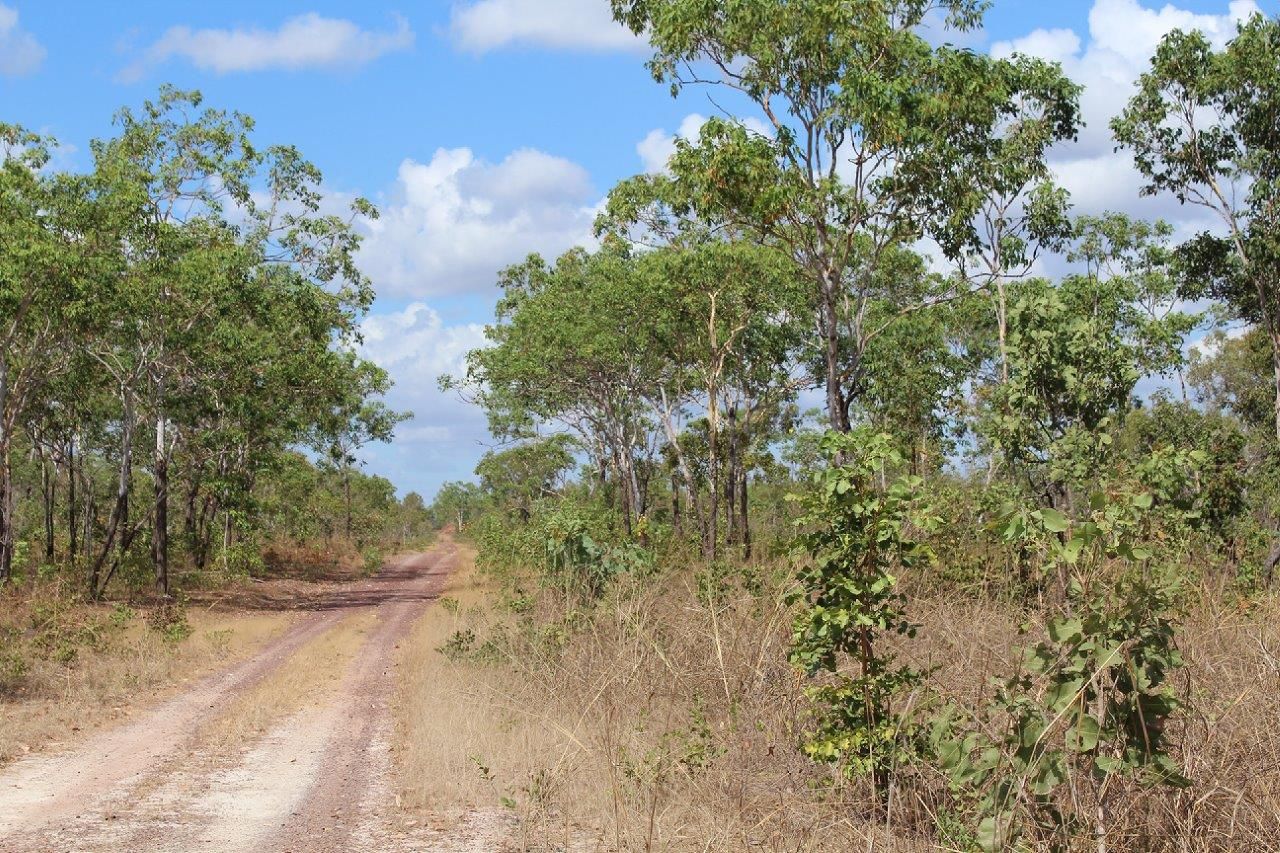 529 Owen Lagoon Road, Lake Bennett NT 0822, Image 0