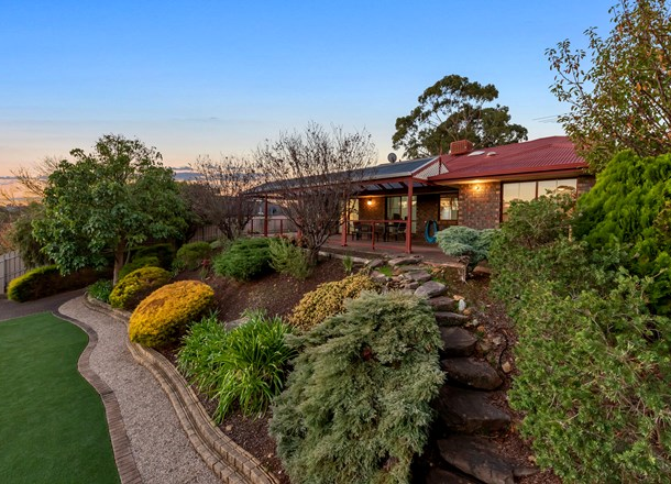 53 Glendale Avenue, Flagstaff Hill SA 5159