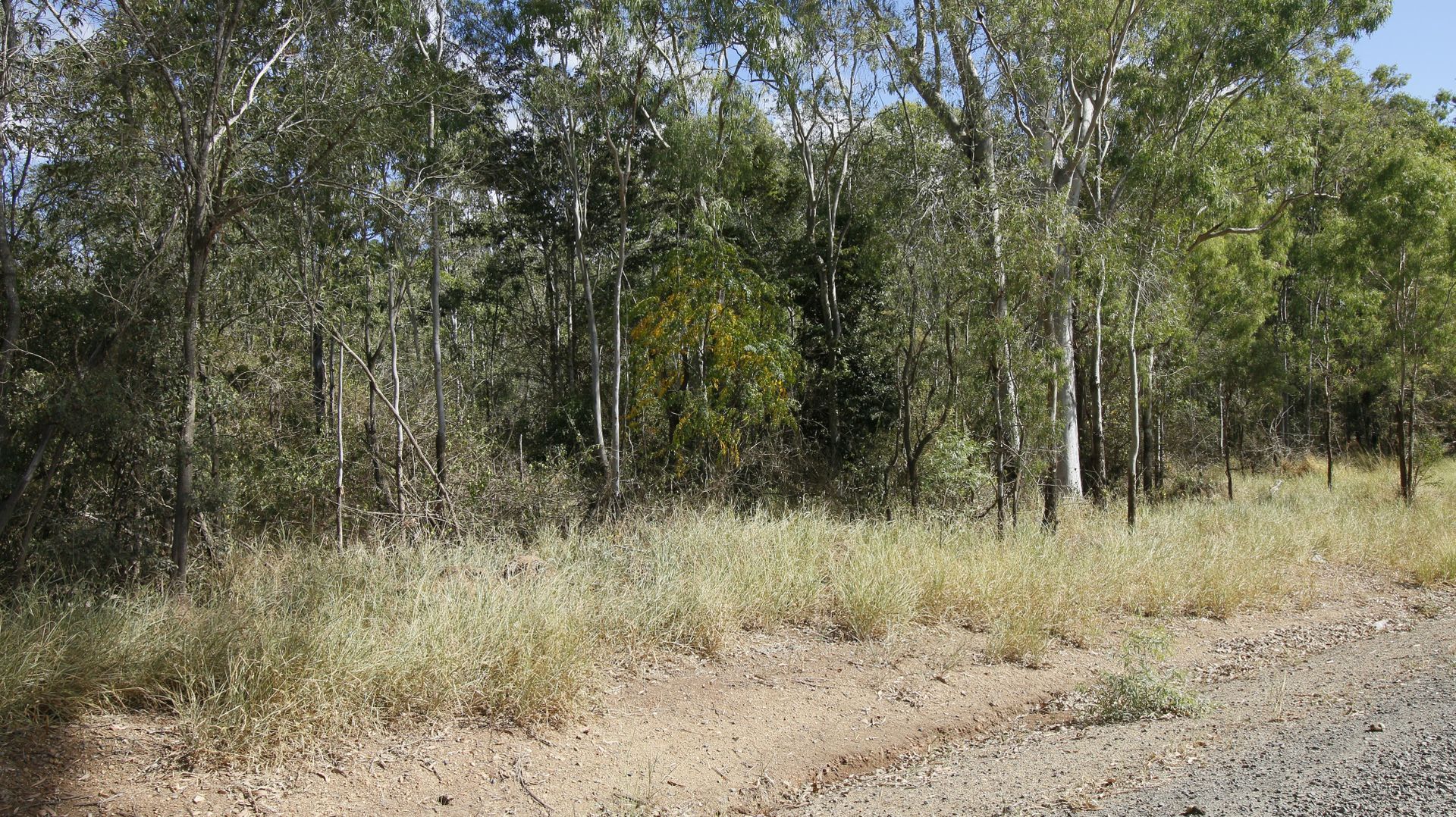 Lot 6 Cross Road, Euleilah QLD 4674, Image 1