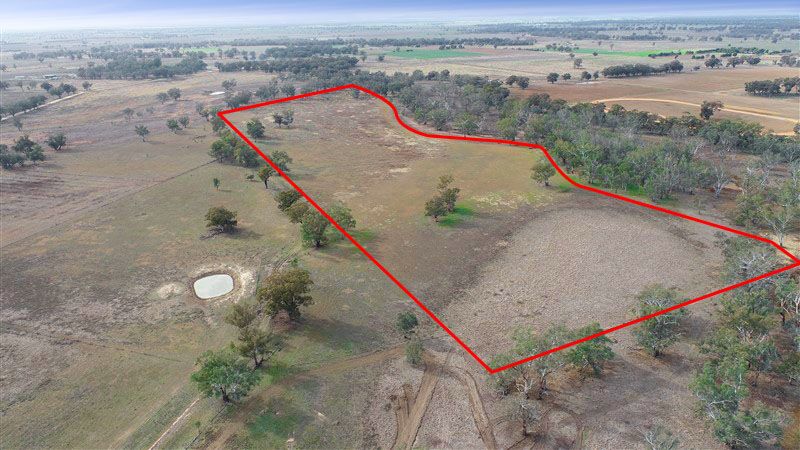 1359 Saddleback Road, Forbes NSW 2871, Image 1