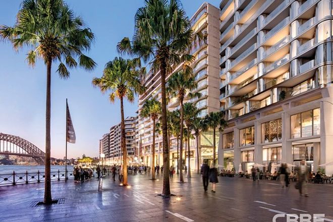 555 Apartments For Sale In Sydney Nsw 2000 Domain