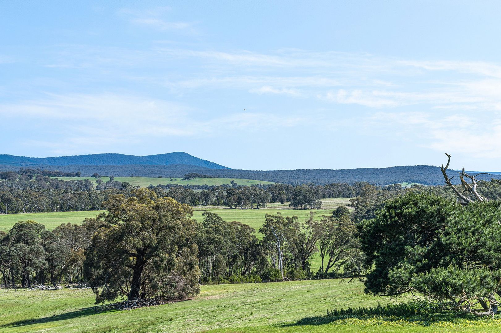 Lot 8C Lewis Lane, Waterloo VIC 3373, Image 1