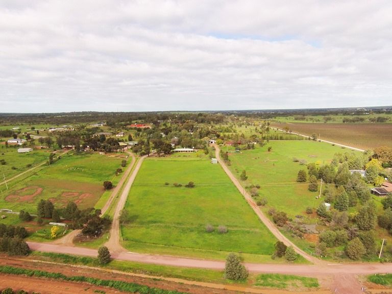 290 Tabain Road, Leeton NSW 2705, Image 1