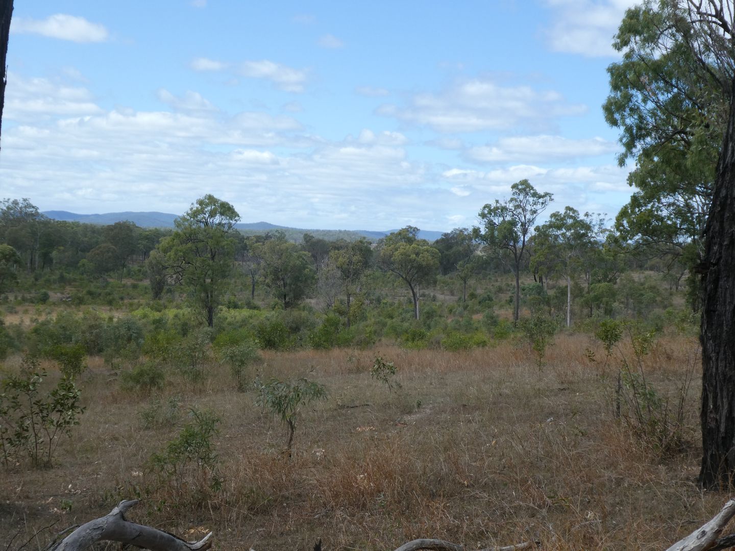 Golden Fleece QLD 4621, Image 1