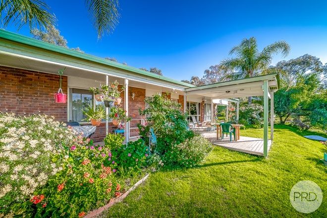 Picture of 4 Bermingham Avenue, SAN ISIDORE NSW 2650