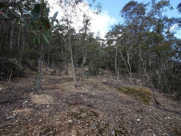 Lot 1 Cloverside Road, Lucaston TAS 7109, Image 2