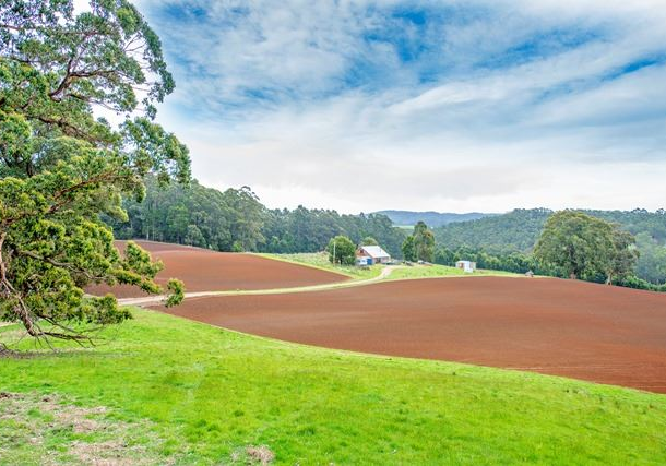 83 Camerons Road, Moorleah TAS 7325