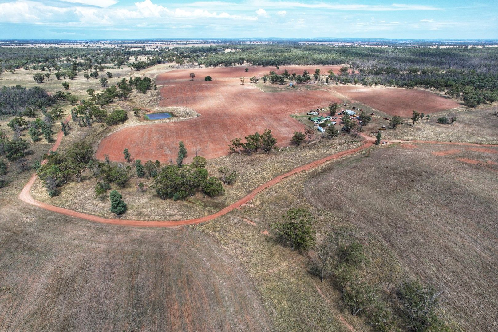 'Springfield' 345 Albert Road, Albert NSW 2873 Specialist Farm for Sale