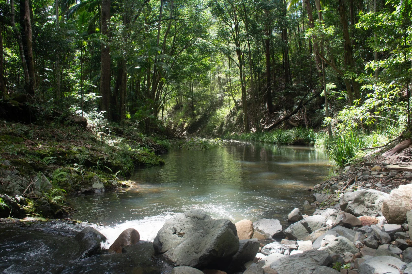 Additional image 14 of 1980 Maleny Stanley River Road, Booroobin QLD 4552