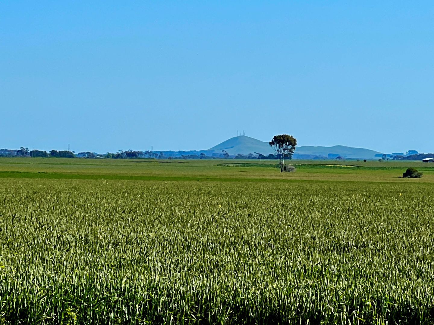 Woorndoo-Darlington Road, Woorndoo VIC 3272, Image 1