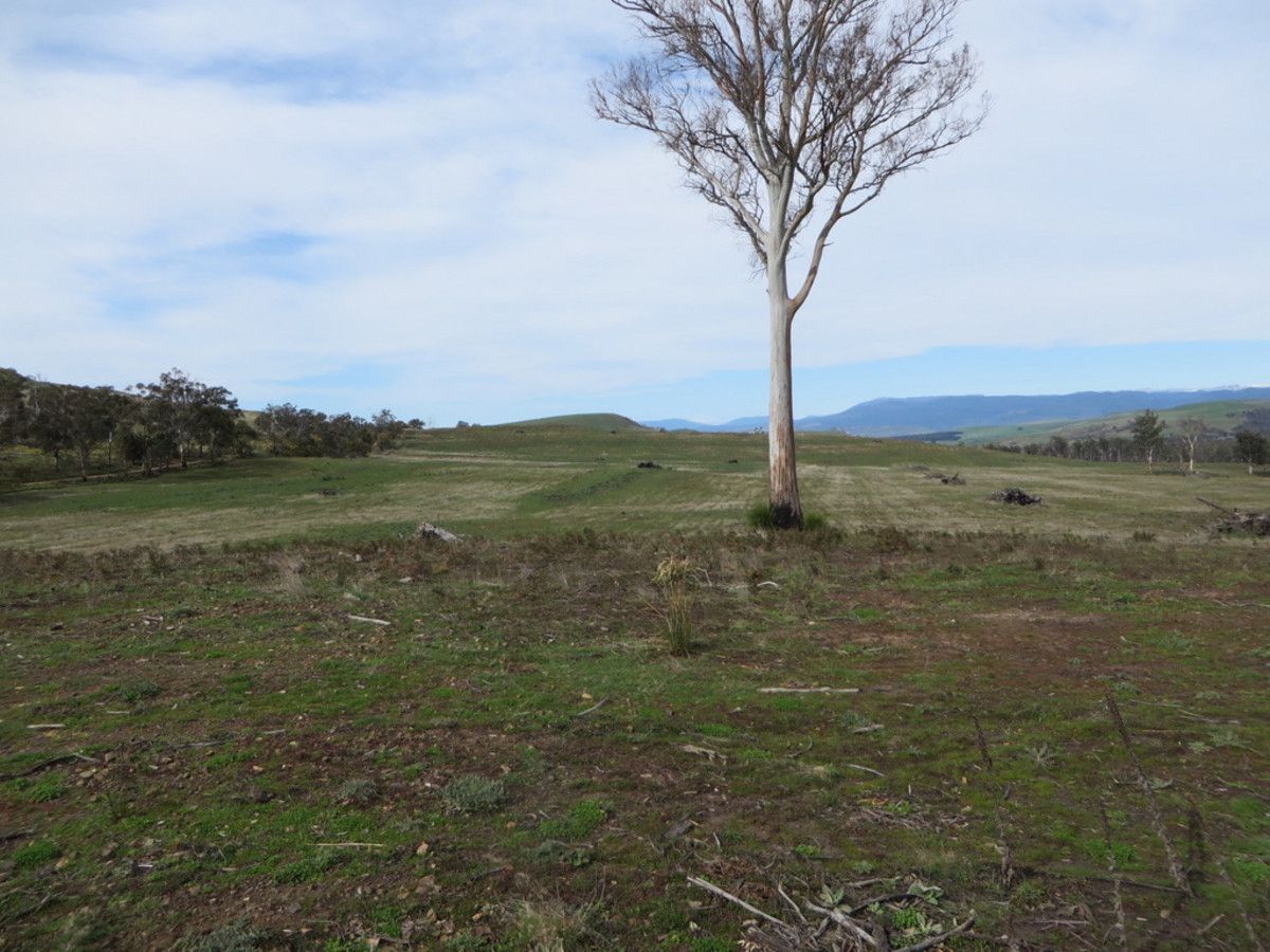 Lanes Tier Road, Ouse TAS 7140, Image 1