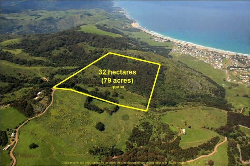 330 Tuxion Road, Apollo Bay VIC 3233, Image 0