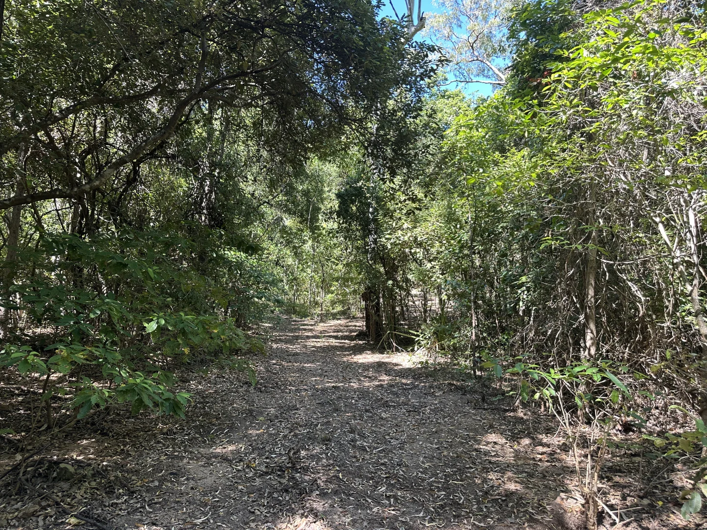 Image 8