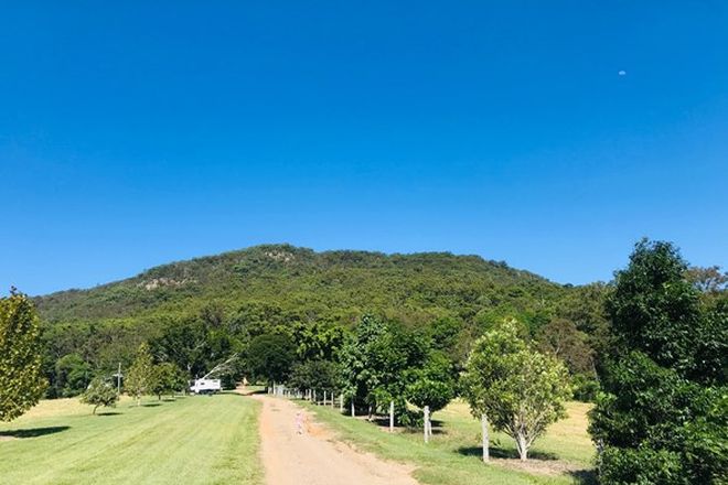 Picture of 853 Browns Creek Road, EERWAH VALE QLD 4562