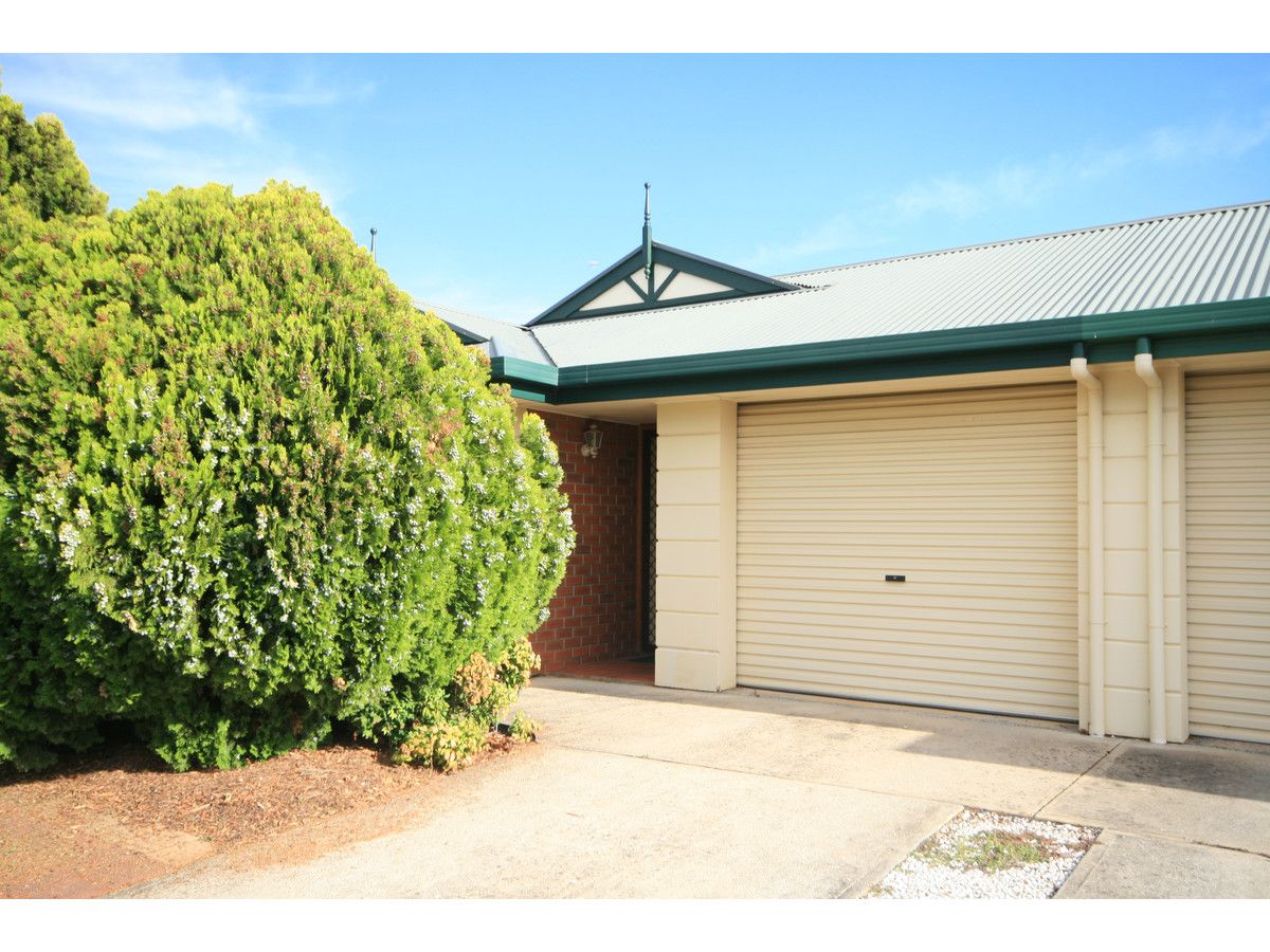 6b Edwin Avenue, Tranmer Property History & Address Research Domain