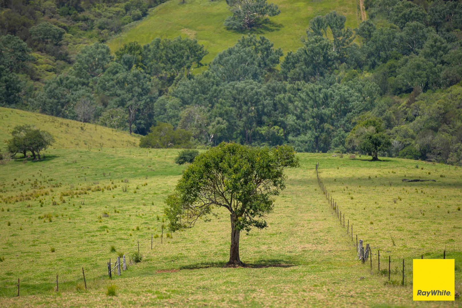 Additional image 21 of 262 Snows Road, Dorrigo NSW 2453