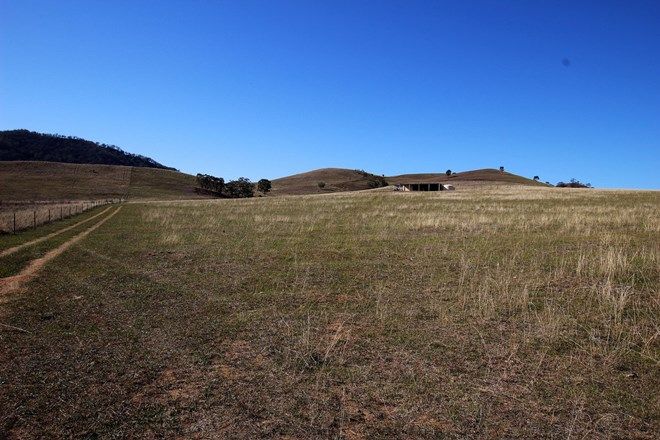 Picture of Lot 225 Sandy Creek Road, MCCULLYS GAP NSW 2333