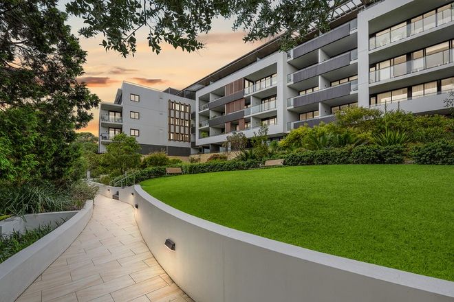 Picture of 501/14 Finlayson Street, LANE COVE NSW 2066