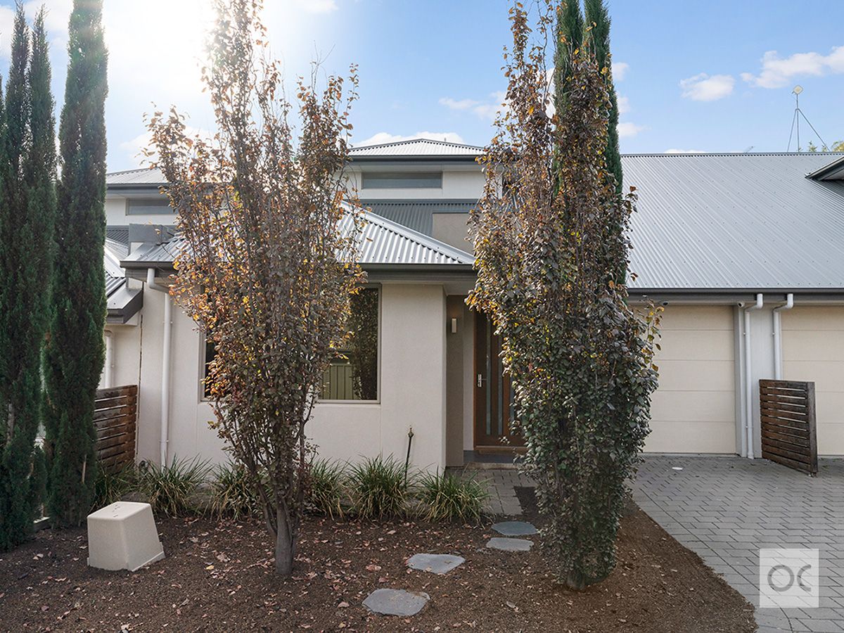 33G Edward Street, Magill SA 5072, Image 0