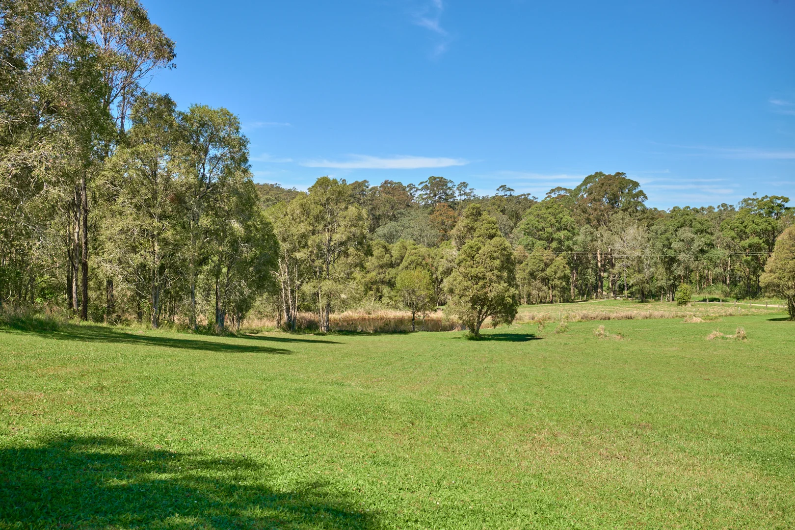 Image 33