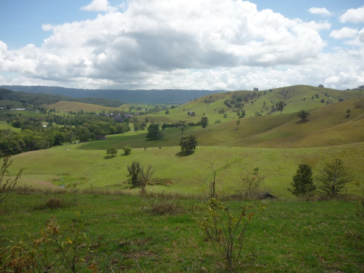 Laceys Creek QLD 4521, Image 0