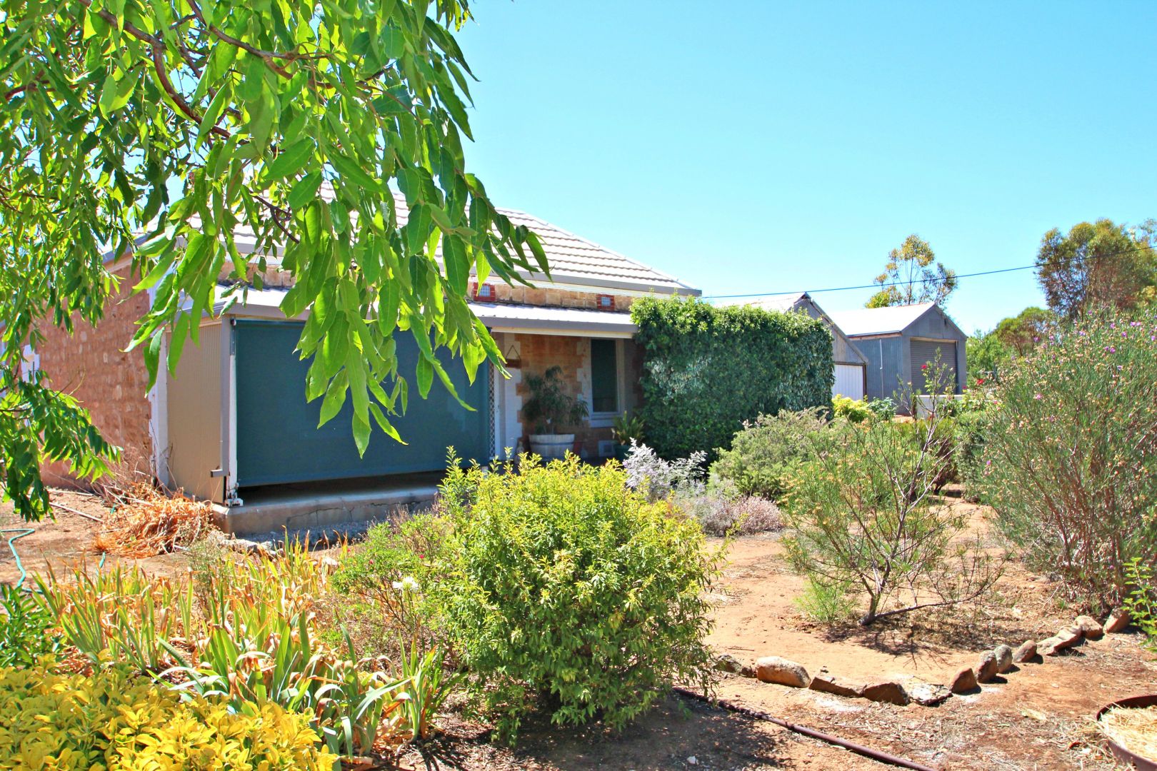 3 Hawker Street, Yacka SA 5470, Image 1